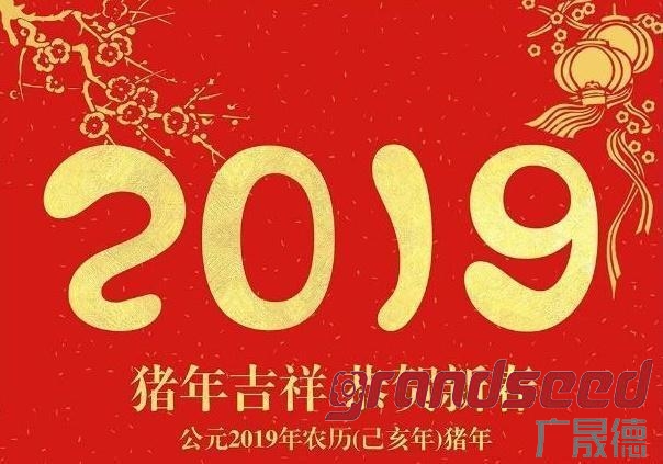 广晟德2019新春祝福